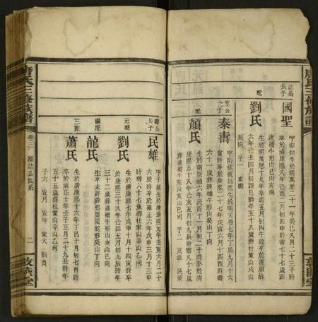 湖南唐氏族谱-唐氏三修族谱 [存4卷].pdf电子版插图2