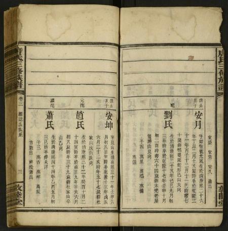 湖南唐氏族谱-唐氏三修族谱 [存4卷].pdf电子版插图3