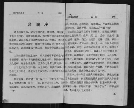 湖南滕氏族谱-常宁滕氏族谱[10卷首1卷].pdf电子版插图5