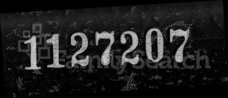 浙江任氏族谱-萧山任氏家乘 [16卷].pdf电子版