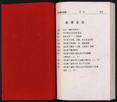 湖南腾氏族谱-常宁腾氏族谱.pdf电子版插图2