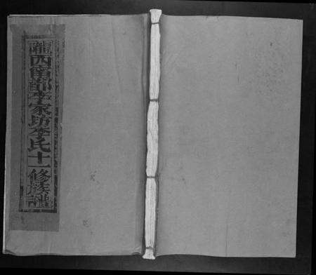 江西李氏族谱-宁都李家坊李氏十一修族谱[10卷].pdf电子版