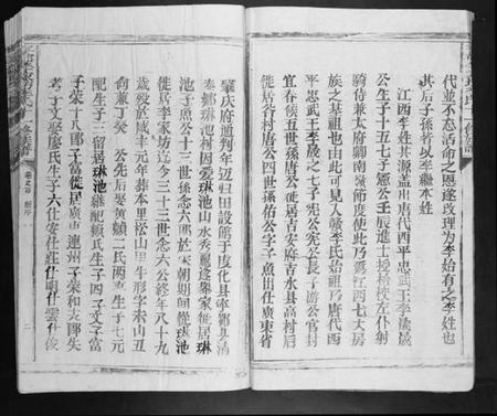 江西李氏族谱-宁都李家坊李氏十一修族谱[10卷].pdf电子版插图2