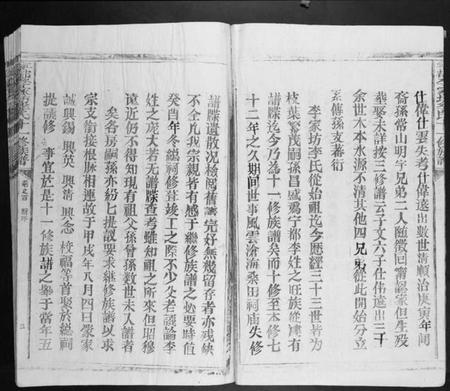 江西李氏族谱-宁都李家坊李氏十一修族谱[10卷].pdf电子版插图3