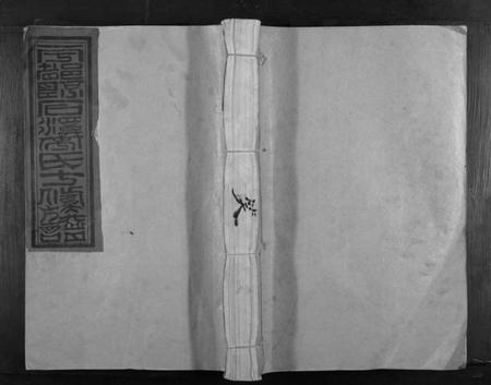 江西李氏族谱-宁都县石溪李氏十修族谱.pdf电子版