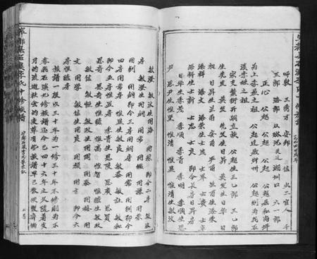 江西李氏族谱-宁都县石溪李氏十修族谱.pdf电子版插图3