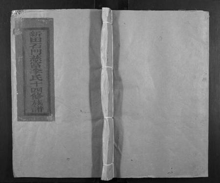 江西李氏族谱-新田石门慈富李氏十四修族谱[不分卷].pdf电子版