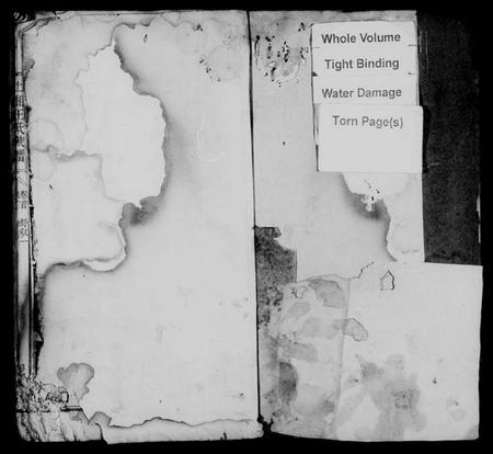 湖南王氏族谱-上湘王氏族谱 [8卷,及卷首末].pdf电子版插图2