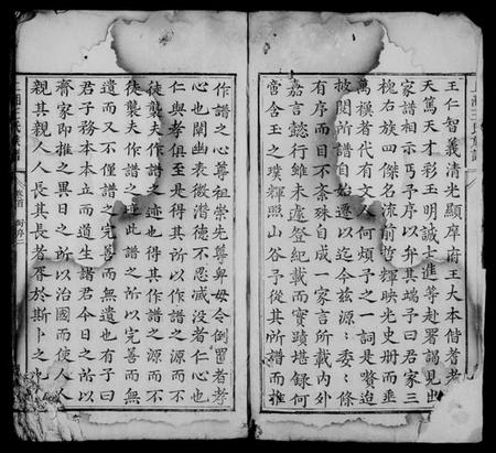 湖南王氏族谱-上湘王氏族谱 [8卷,及卷首末].pdf电子版插图4