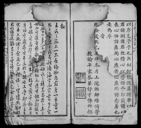 湖南王氏族谱-上湘王氏族谱 [8卷,及卷首末].pdf电子版插图5