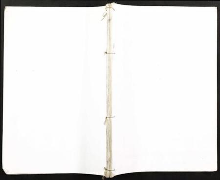 湖南王氏族谱-上湘苏塘王氏四修族谱.pdf电子版插图 湖南王氏族谱-上湘苏塘王氏四修族谱.pdf电子版插图