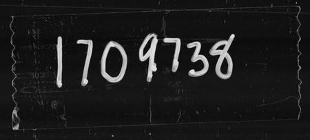 湖南王氏族谱-上湘苏塘王氏四修族谱 [21卷,首4卷].pdf电子版