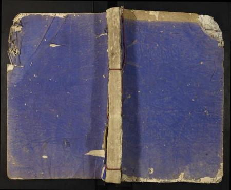 江西李氏族谱-李氏八修族谱.pdf电子版