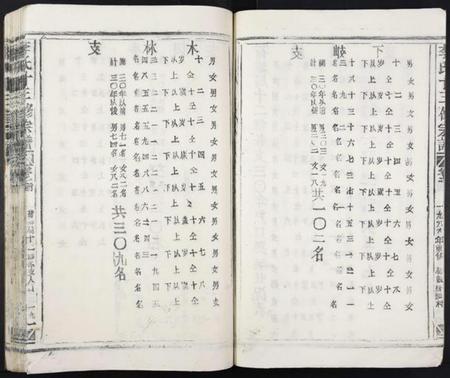 江西李氏族谱-李氏十三修宗谱.pdf电子版插图4