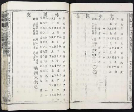 江西李氏族谱-李氏十三修宗谱.pdf电子版插图5