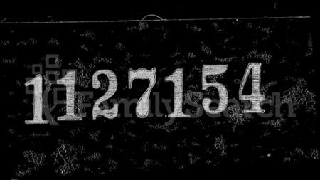 浙江王氏族谱-萧山车里庄王氏家谱.pdf电子版