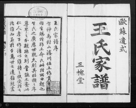 浙江王氏族谱-萧山车里王氏宗谱 [8卷].pdf电子版插图5