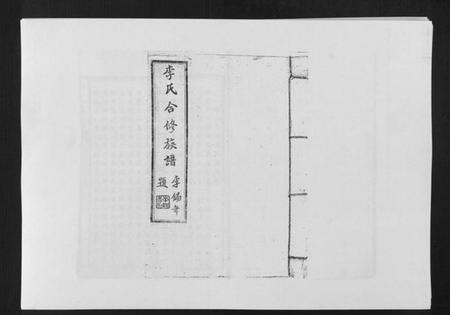 江西李氏族谱-李氏族谱.pdf电子版