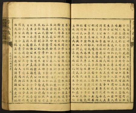 江西李氏族谱-李氏族谱.pdf电子版插图5