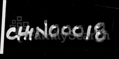 江西李氏族谱-东源李氏族谱 [32卷].pdf电子版插图4