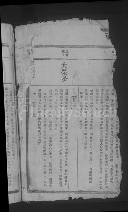 江西李氏族谱-东龙李氏九修族谱 [残卷].pdf电子版插图4