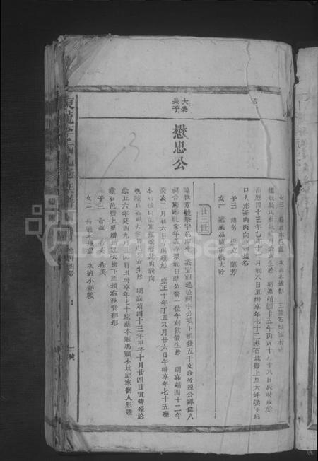 江西李氏族谱-东龙李氏九修族谱 [残卷].pdf电子版插图5