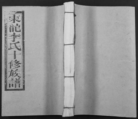 江西李氏族谱-东龙李氏十修族谱[13卷].pdf电子版