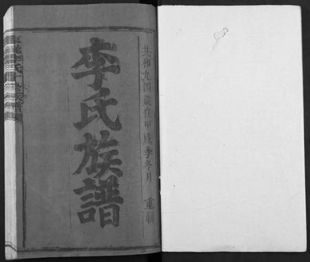 江西李氏族谱-东龙李氏十修族谱[13卷].pdf电子版插图1