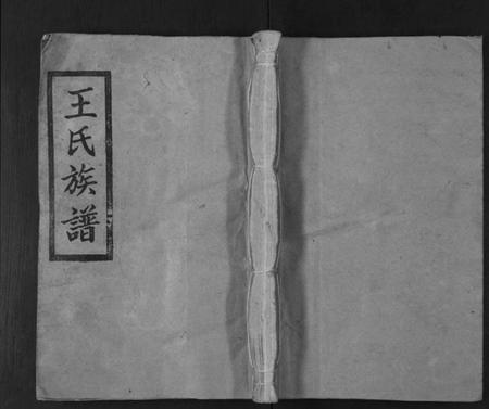 湖南王氏族谱-王氏三修族谱[3卷首1卷].pdf电子版