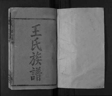 湖南王氏族谱-王氏三修族谱[3卷首1卷].pdf电子版插图1