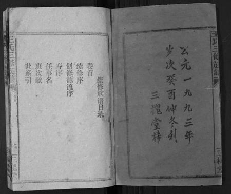 湖南王氏族谱-王氏三修族谱[3卷首1卷].pdf电子版插图2