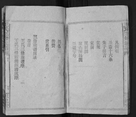 湖南王氏族谱-王氏三修族谱[3卷首1卷].pdf电子版插图4