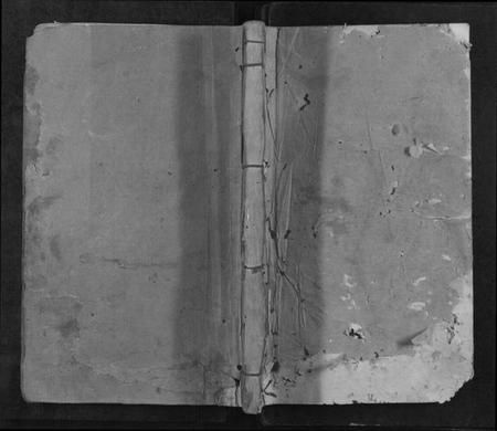 江西李氏族谱-瑞邑智乡岽背李氏八修族谱[不分卷].pdf电子版