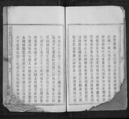 江西李氏族谱-瑞邑智乡岽背李氏八修族谱[不分卷].pdf电子版插图2