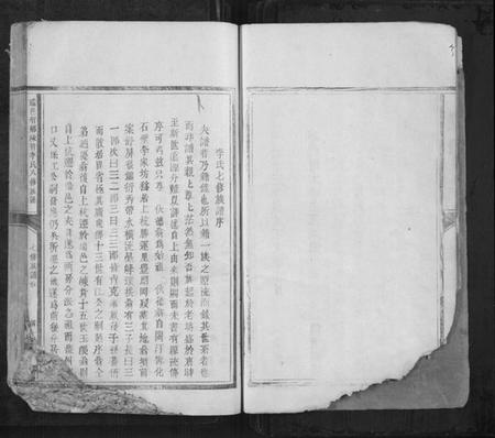 江西李氏族谱-瑞邑智乡岽背李氏八修族谱[不分卷].pdf电子版插图4