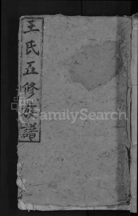 湖南王氏族谱-王氏五修族谱 [15卷,首末各1卷].pdf电子版