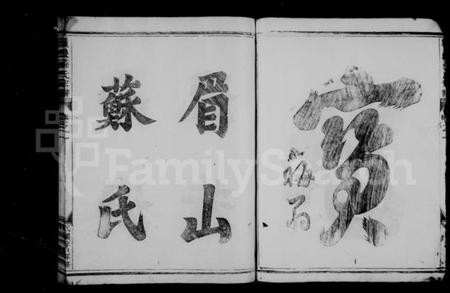 浙江苏氏族谱-苏氏宗谱 [3卷].pdf电子版插图4