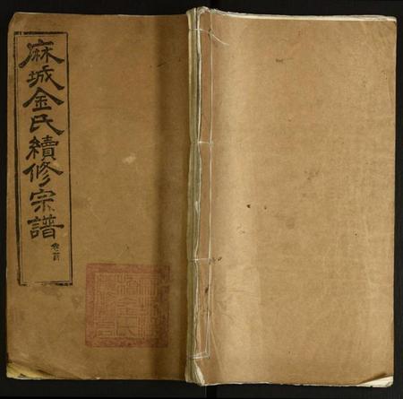 湖北金氏族谱-金氏宗谱.pdf电子版