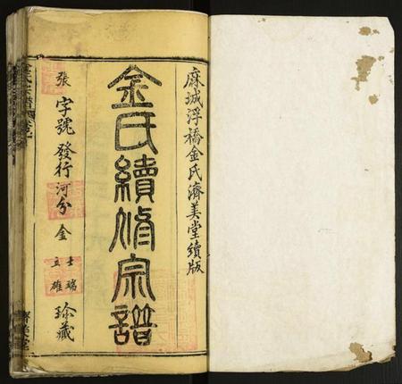 湖北金氏族谱-金氏宗谱.pdf电子版插图1