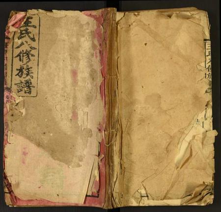 湖南王氏族谱-王氏八修族谱.pdf电子版