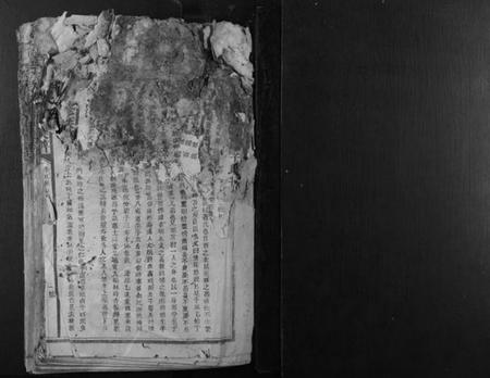 江西李氏族谱-石溪李氏九修族谱.pdf电子版插图1 江西李氏族谱-石溪李氏九修族谱.pdf电子版插图1