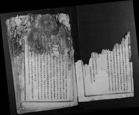 江西李氏族谱-石溪李氏九修族谱.pdf电子版插图2 江西李氏族谱-石溪李氏九修族谱.pdf电子版插图2