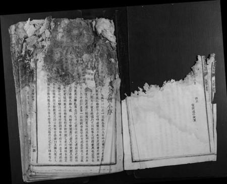 江西李氏族谱-石溪李氏九修族谱.pdf电子版插图3 江西李氏族谱-石溪李氏九修族谱.pdf电子版插图3