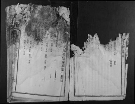 江西李氏族谱-石溪李氏九修族谱.pdf电子版插图4 江西李氏族谱-石溪李氏九修族谱.pdf电子版插图4