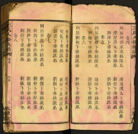 湖南王氏族谱-王氏八修族谱.pdf电子版插图4