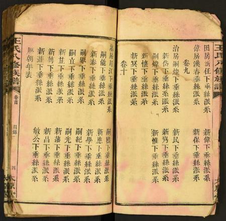 湖南王氏族谱-王氏八修族谱.pdf电子版插图5