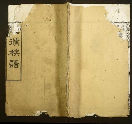 湖南王氏族谱-王氏八修族谱.pdf电子版