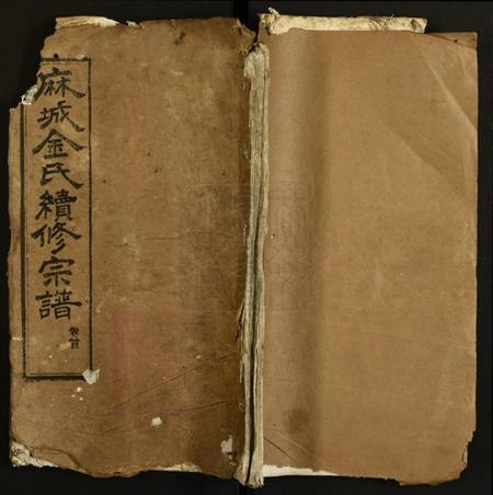 湖北金氏族谱-金氏宗谱.pdf电子版