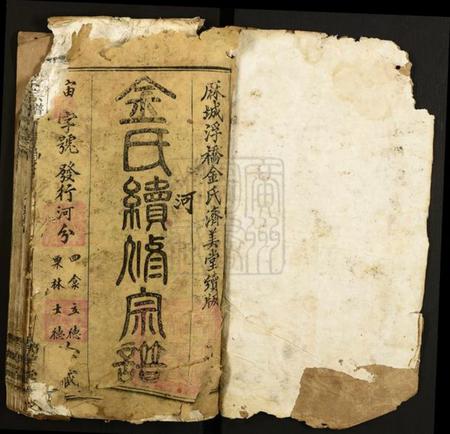 湖北金氏族谱-金氏宗谱.pdf电子版插图1