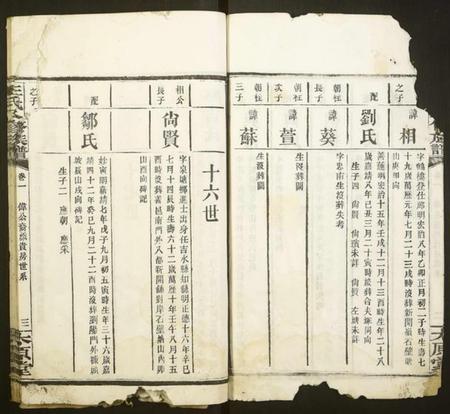 湖南王氏族谱-王氏八修族谱.pdf电子版插图3 湖南王氏族谱-王氏八修族谱.pdf电子版插图3